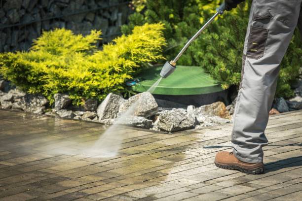Best Window and Screen Pressure Cleaning in Dalton, PA